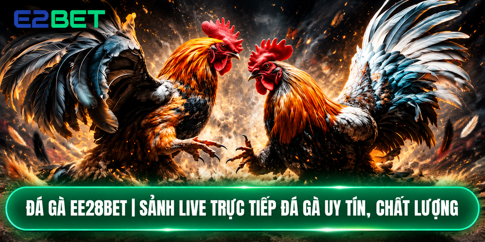 Đá gà EE28BET