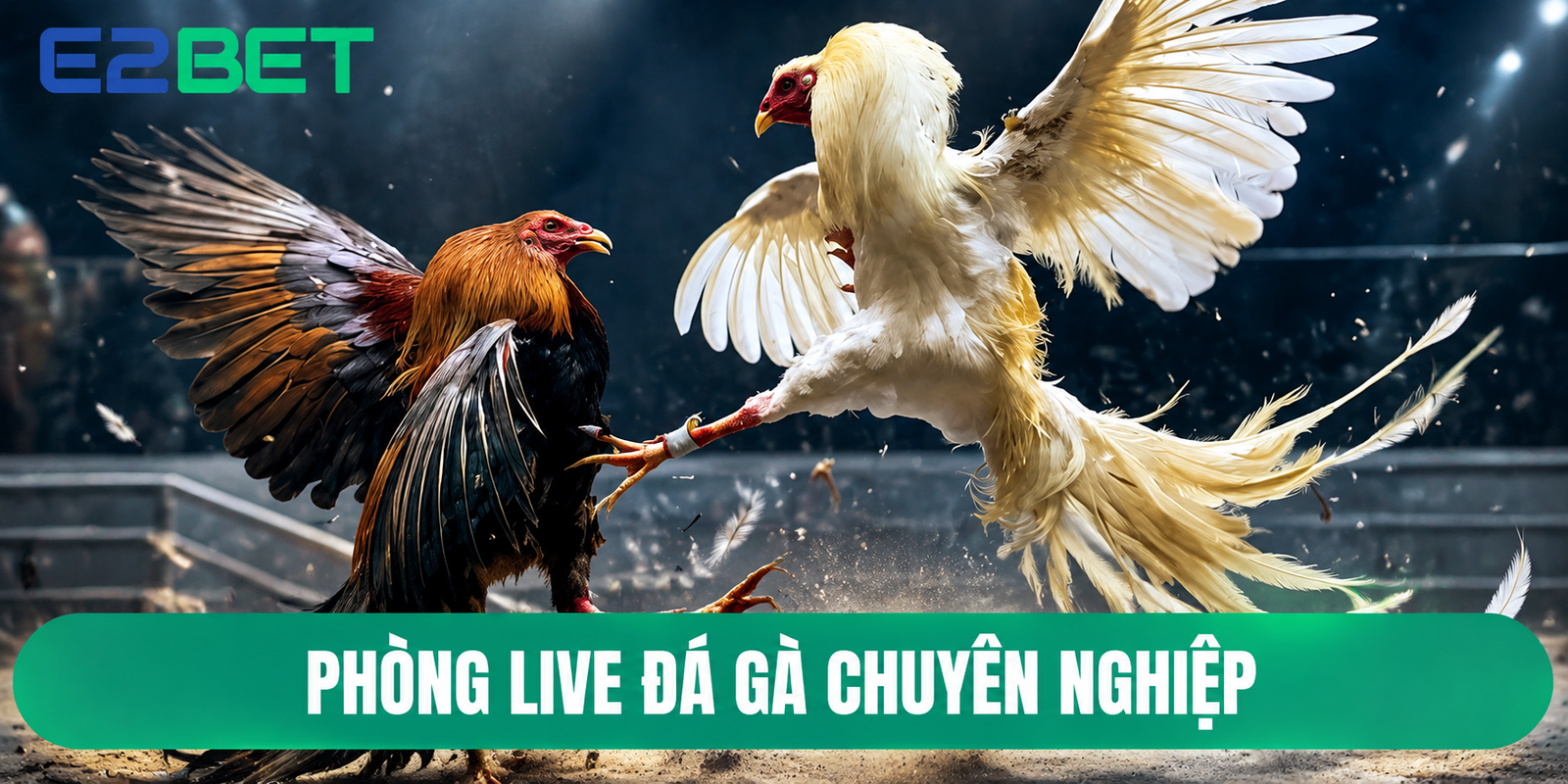 Phòng live đá gà chuyên nghiệp
